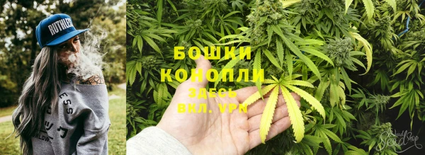 каннабис Алексеевка