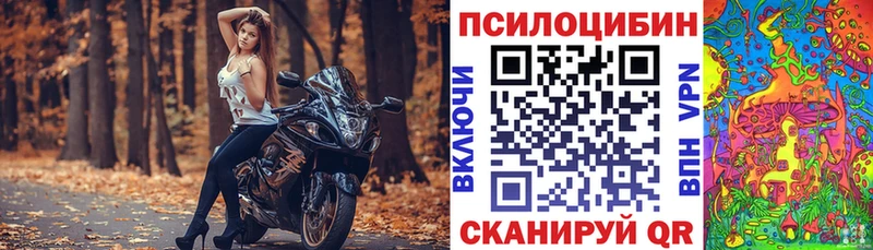 kraken ONION  Ликино-Дулёво  Псилоцибиновые грибы GOLDEN TEACHER 